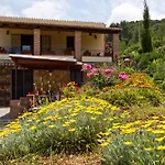 Caprifogli