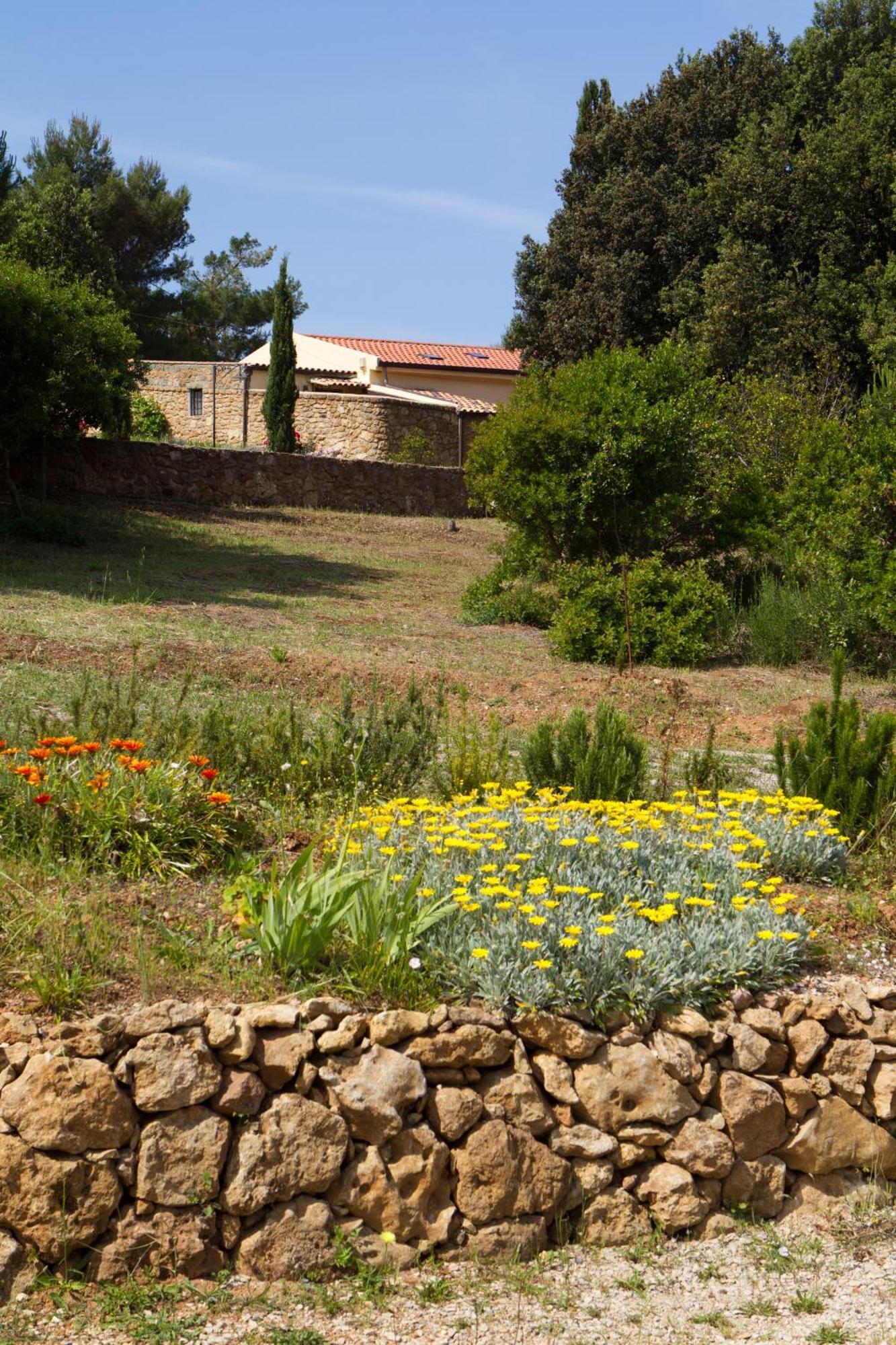 Caprifogli Alghero